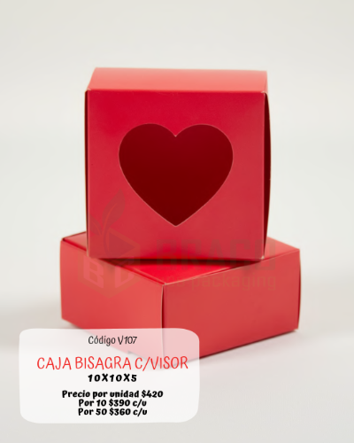 v107 CAJA BISAGRA C/VISOR 10x10x5