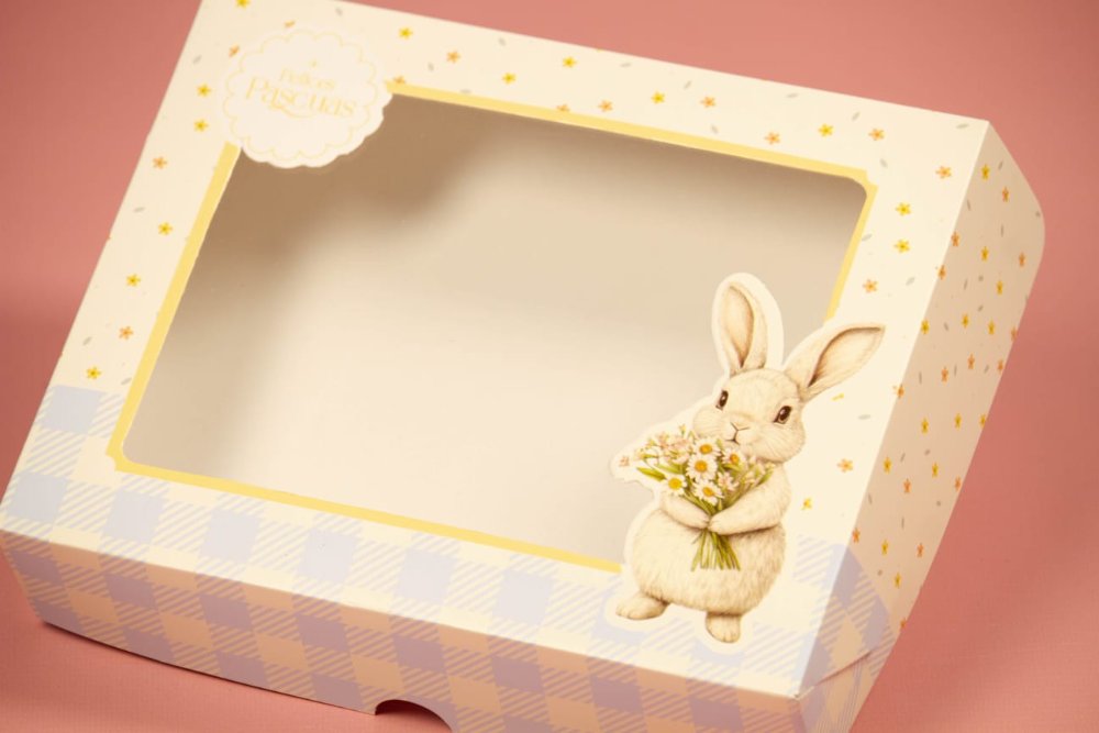 P103 22x17x5 caja bisagra rectangular