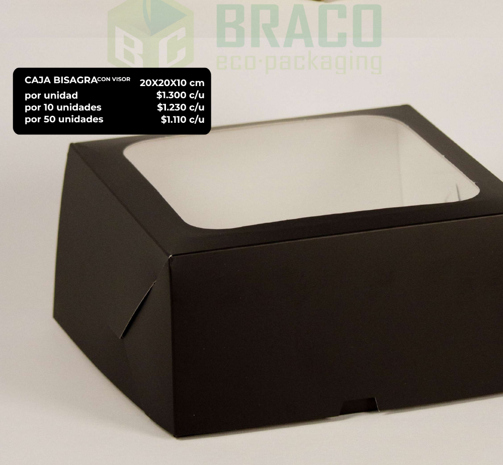TB2 caja bisagra con visor 20x20x10