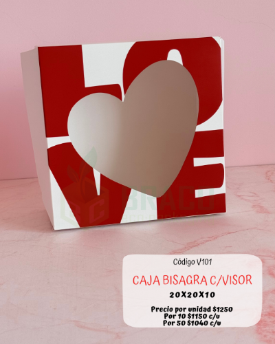 v101 CAJA BISAGRA C/VISOR 20x20x10