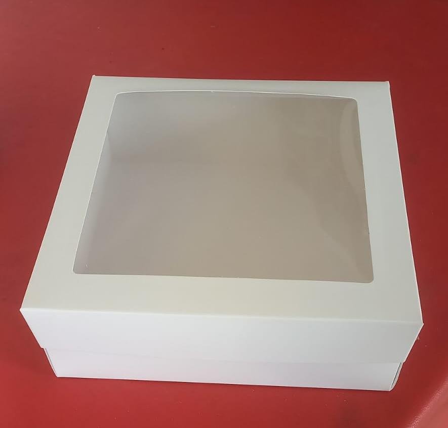 27X27X10 BISAGRA CON VISOR