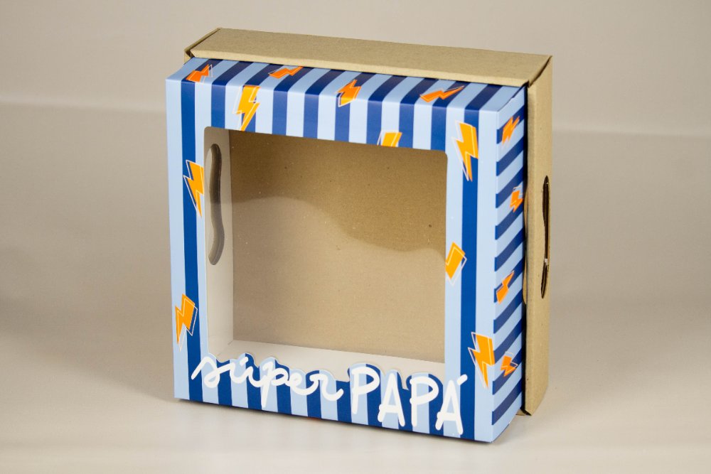 DP100 BASE Y TAPA CON VISOR 25x25x12 cm