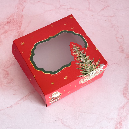 N102 Bisagra con visor 20x20x10 cm