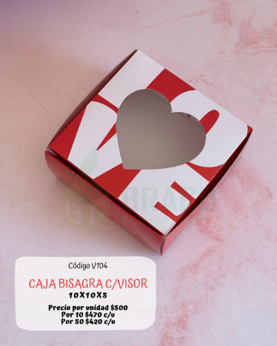 v104 CAJA BISAGRA C/VISOR 10x10x5