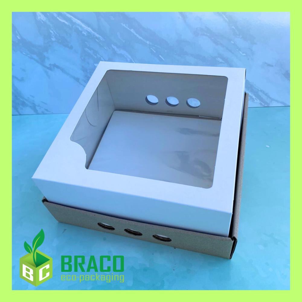 M100 Caja Reforzada c/visor Base Cartón Micro 25x25x12 P105