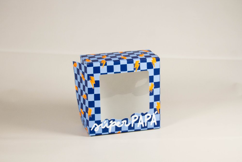 DP101 BISAGRA CON VISOR 20x20x10 cm