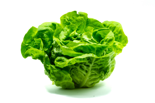LECHUGA X UNIDAD
