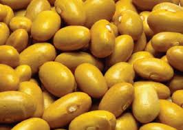 FREJOL CANARIO POR 1/2 LB