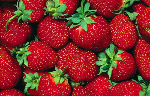 FRUTILLA PORCION