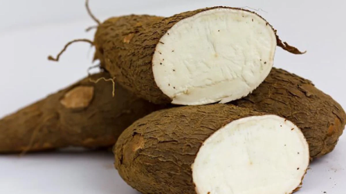 YUCA PELADA Y CONGELADA PORCION
