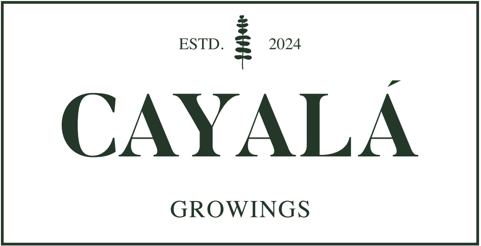 Cayala Growings S.A