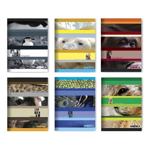 Cuaderno rayado tapa flexible 24 hojas America