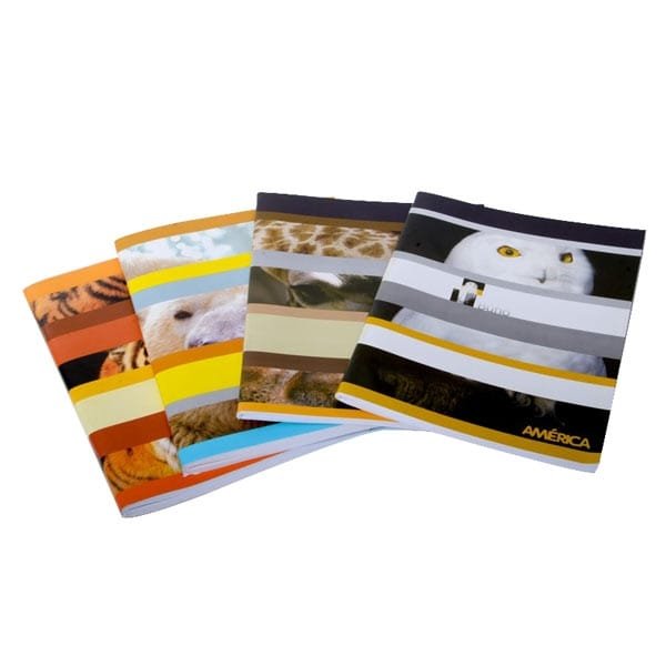 Cuaderno liso tapa flexible x 24 hojas