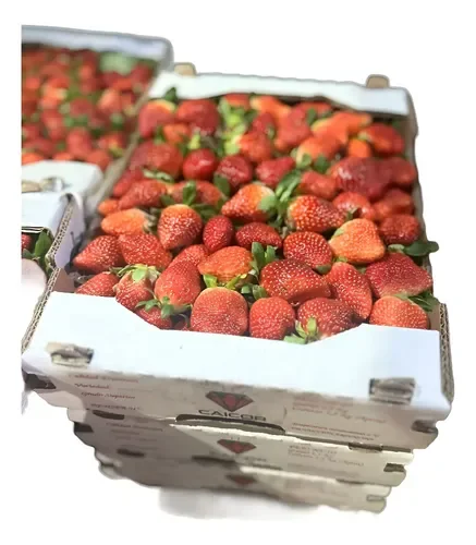 CAJA FRUTILLA