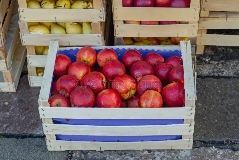 CAJA/CAJON MANZANA ROJA