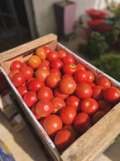 CAJON TOMATE REDONDO