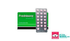 PREDNISONA 5MG. SELECT blister *20