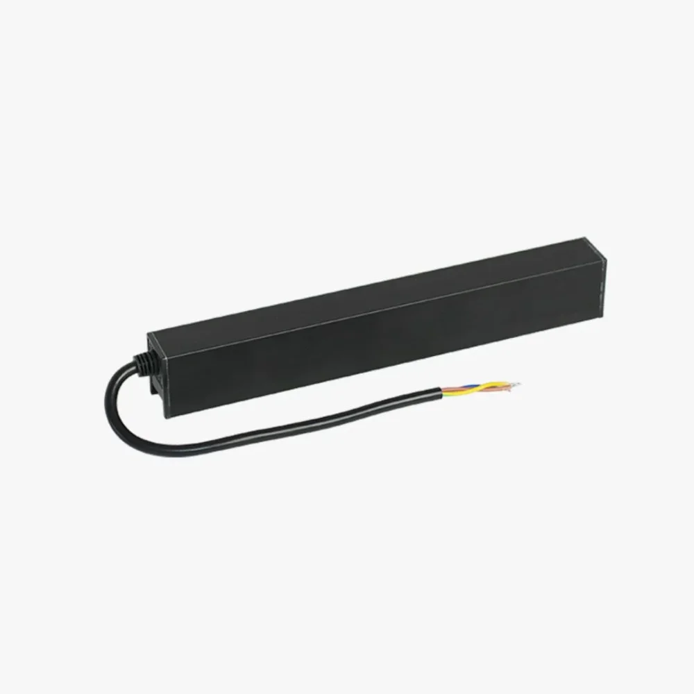 FUENTE RIEL - 48V 100W