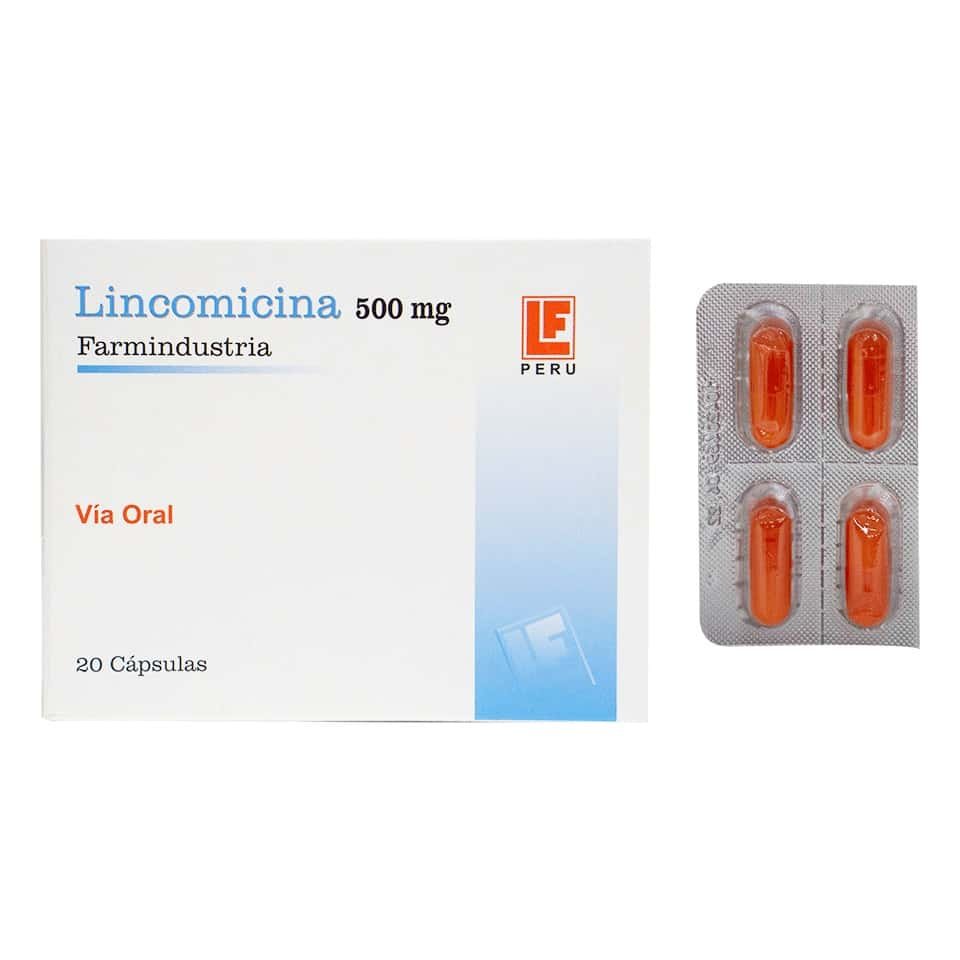 Lincomicina 500 mg Cápsulas - FARMINDUSTRIA