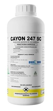 CAYON