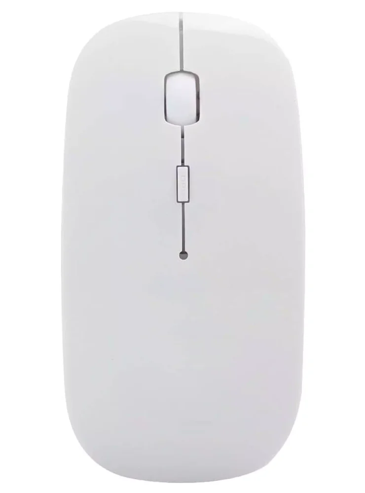Mouse Inalámbrico Past 1
