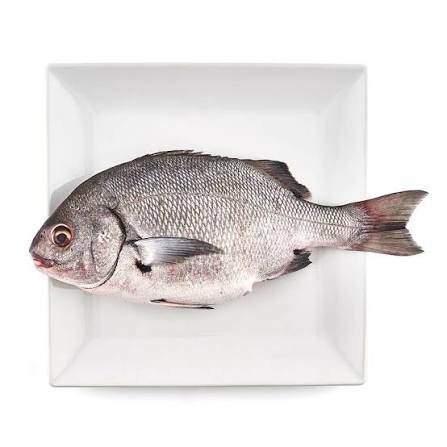 chita verdadera(pequeña)fresca