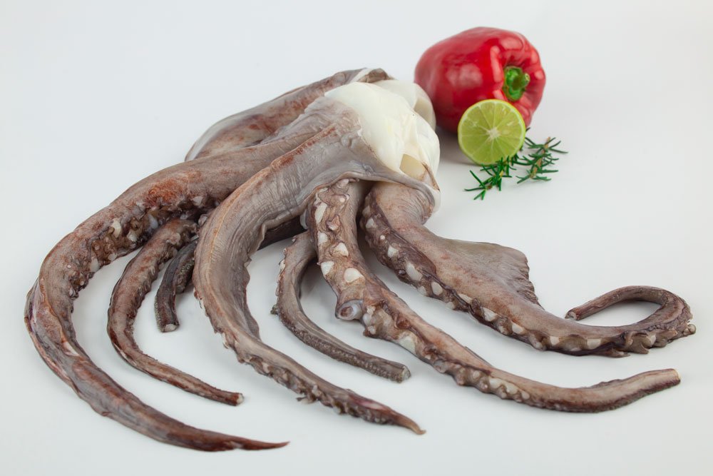 cabeza de pota fresca(tentaculo)