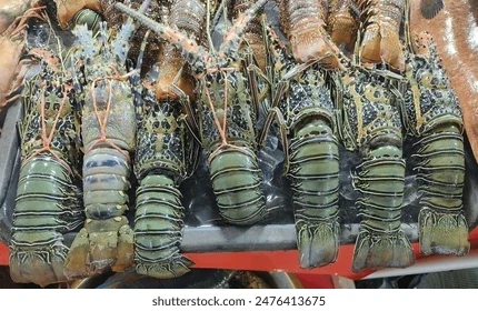 langosta fresca entera