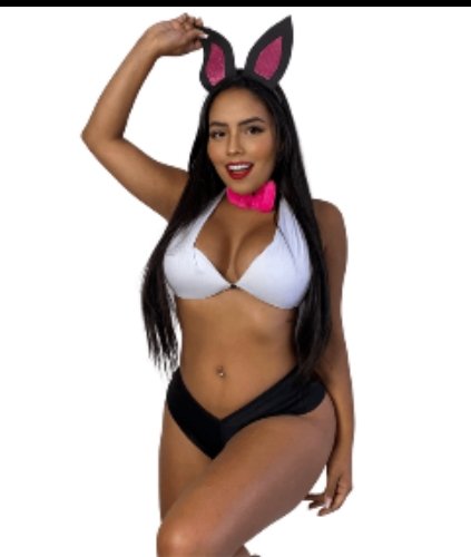Fantasia Coelha Plus Size