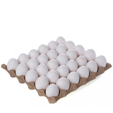 Bandeja de huevos 2 x  60 unidades