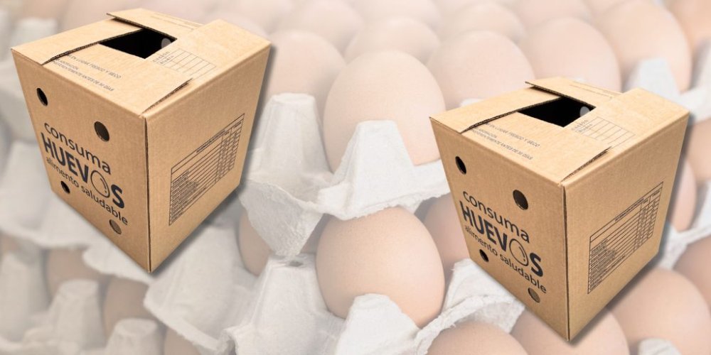 Caja de huevo 180 unidades