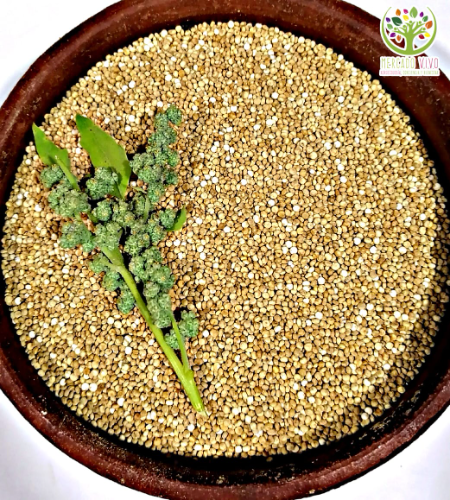Quinoa blanca kilo