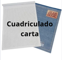BLOCK CUADRICULADO CARTA