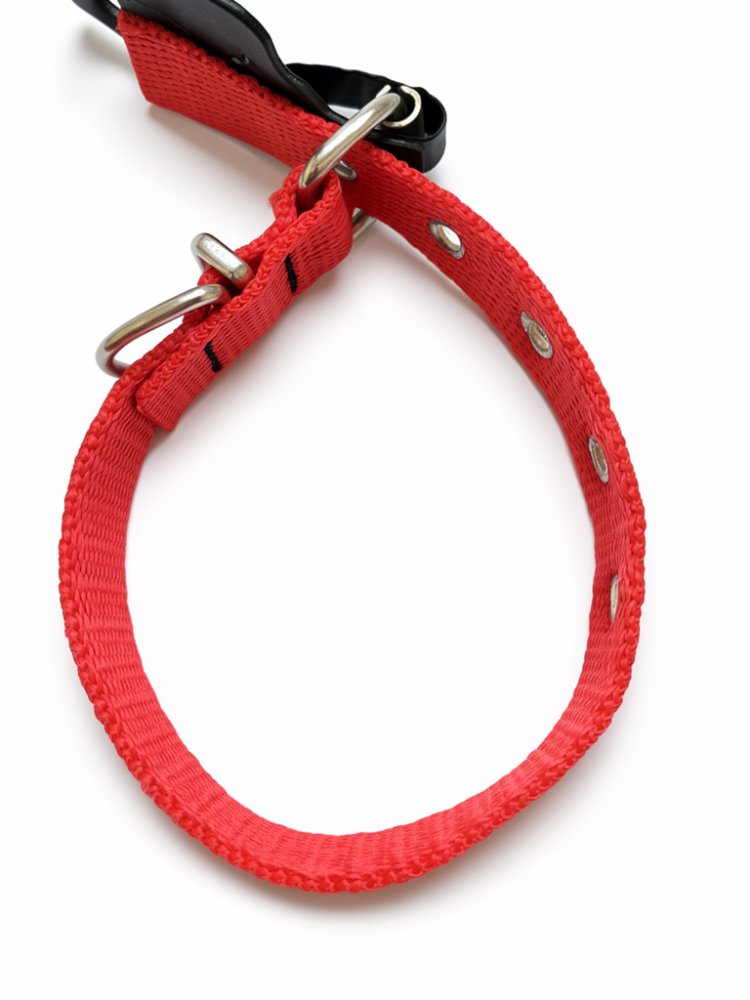 Collar Polipropileno