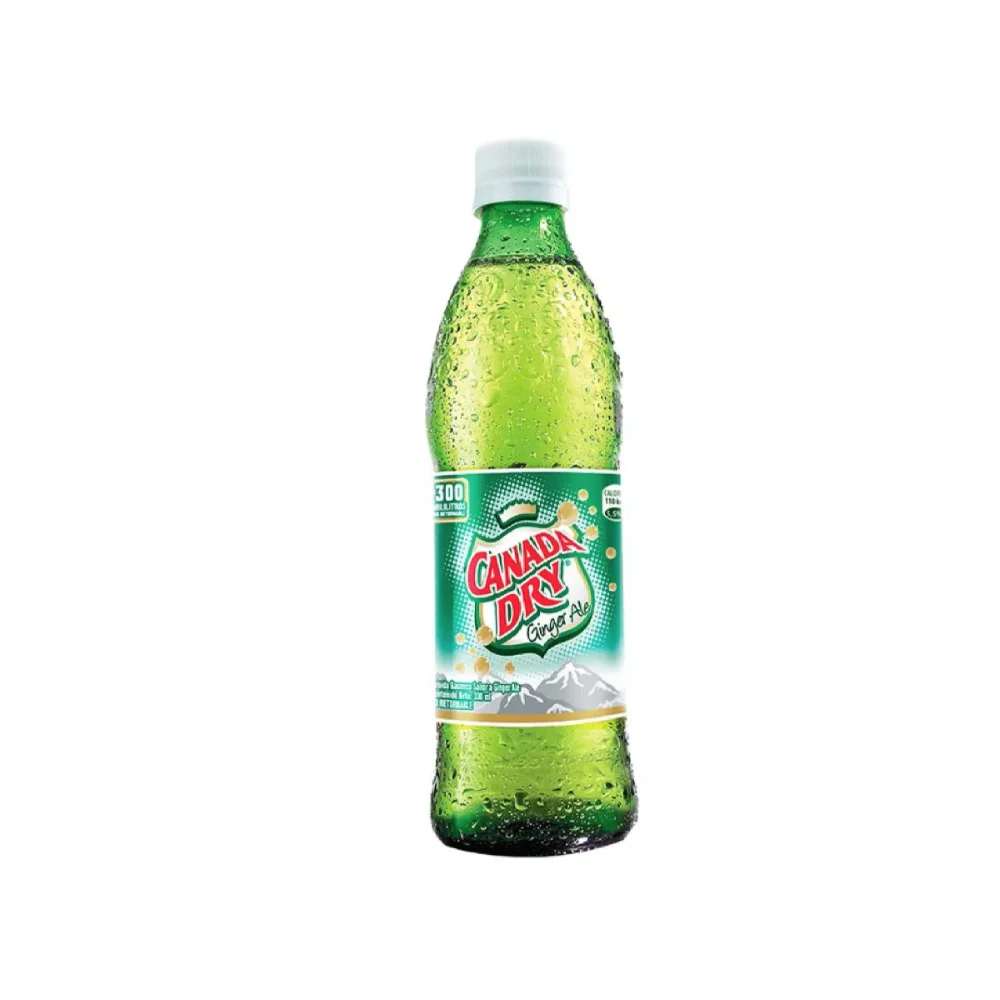 canada dry ginger 355 ml