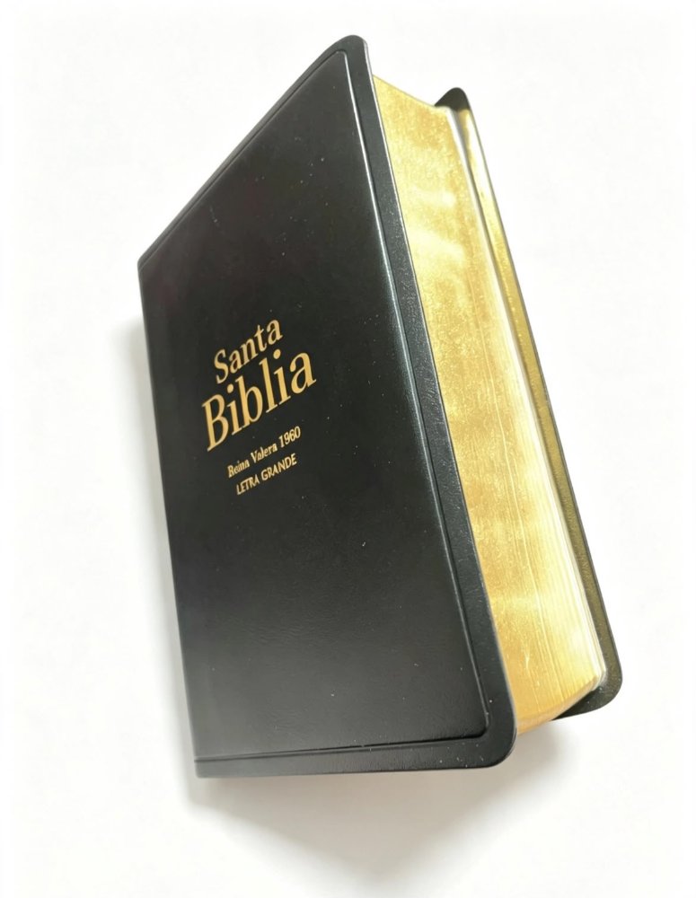 Biblia compacta letra grande negra Rv60