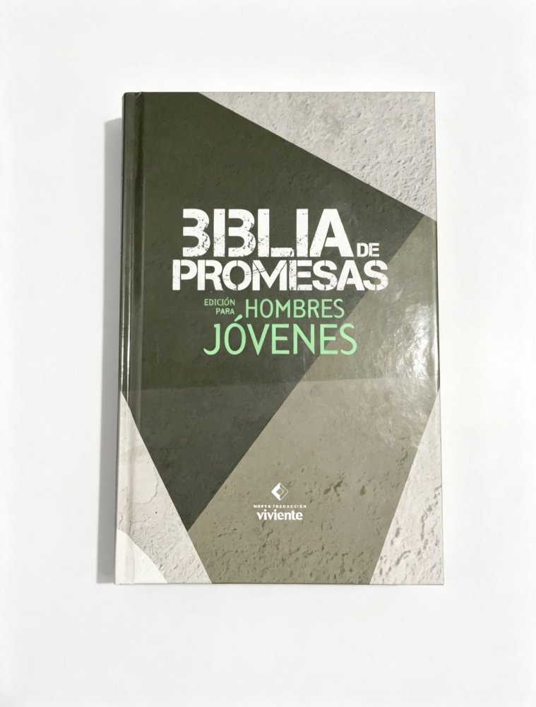 Biblia de promesas para hombres jóvenes hombres
