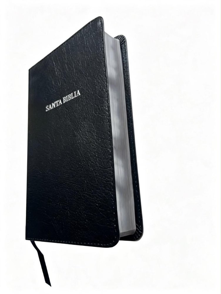 Biblia NVI compacta