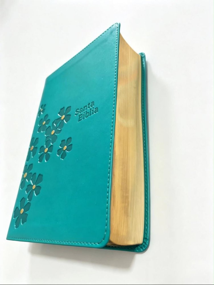 Biblia NTV compacta verde