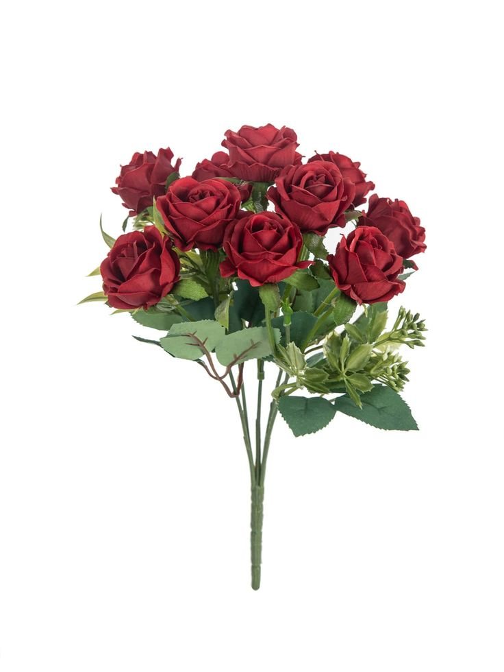 Rosas plásticas