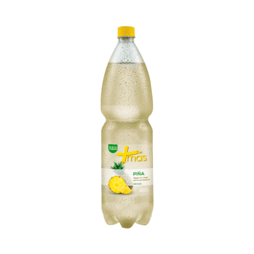 CACHANTUN MAS PIÑA 1,6LT