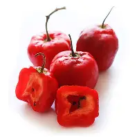 PIMIENTO ROCOTO