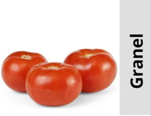 TOMATE GRANEL