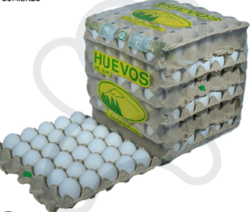 BANDEJA DE HUEVO