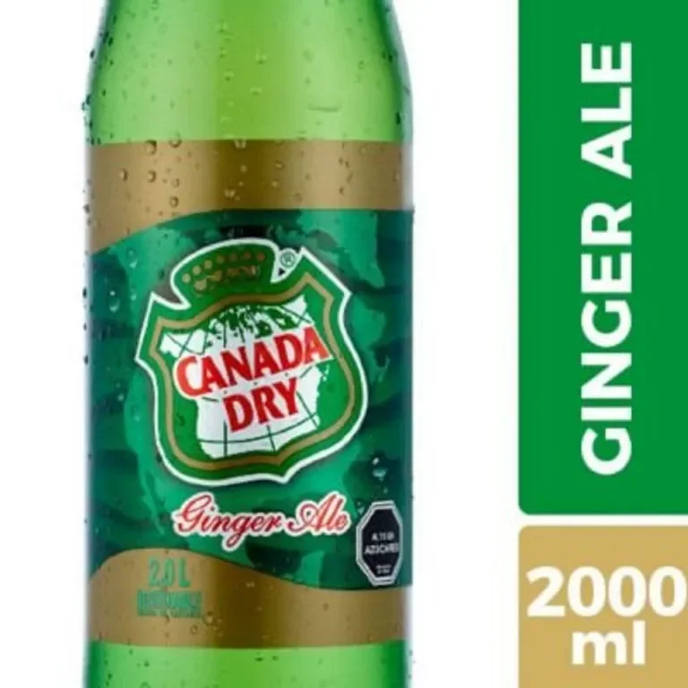 CANADA DRY GINGER ALE 2LT