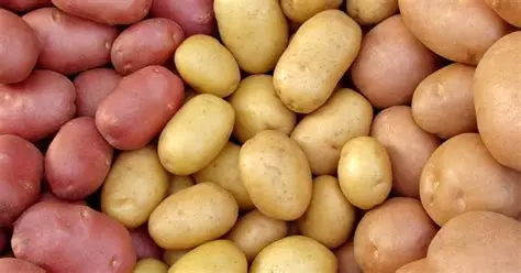 PAPAS PARA COCINAR POR KILO