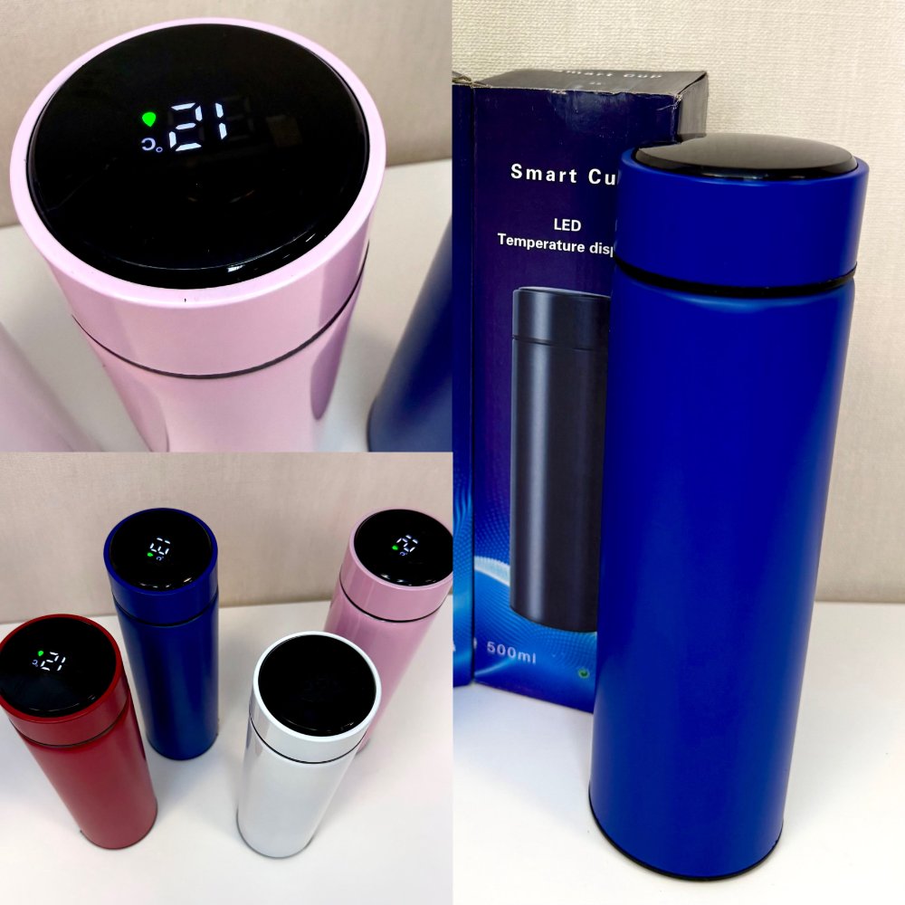 Botella Ejecutiva con Visor de Bateria - Ar 500TC