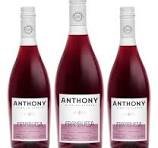 Vino Anthony