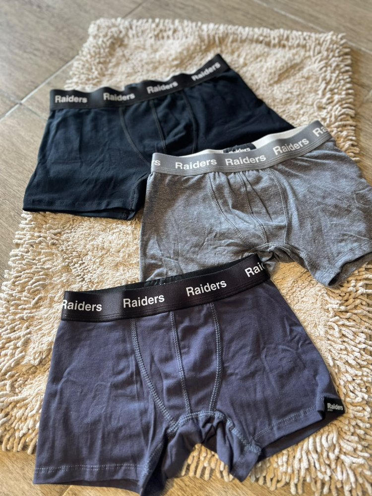 boxer raiders