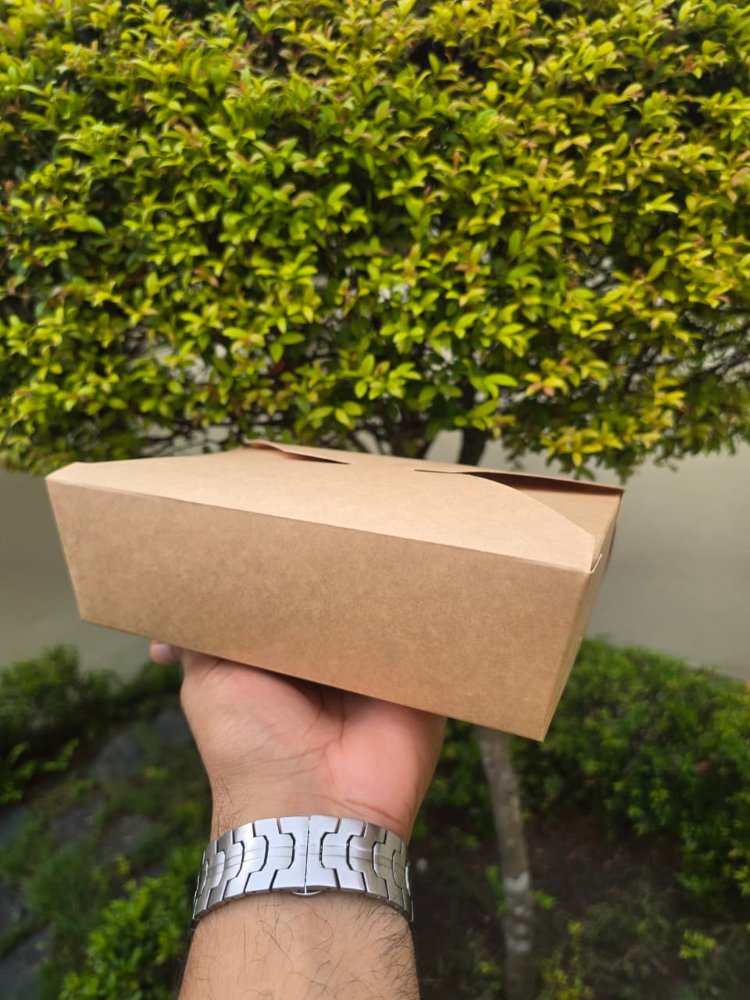 TAKE OUT BOX TOB #3